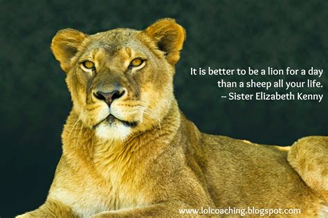 lioness quotes|Powerful Quotes From Lioness: Embrace Your Strength And